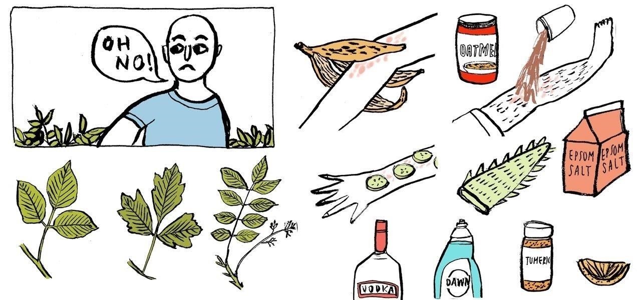 16 Home Remedies for Treating Poison Ivy, Oak & Sumac Rashes