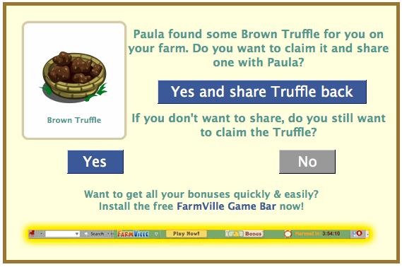 Truffle Hunting Guide
