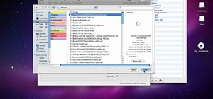 Use Handbrake to rip DVDs to your Mac OS X hard drive