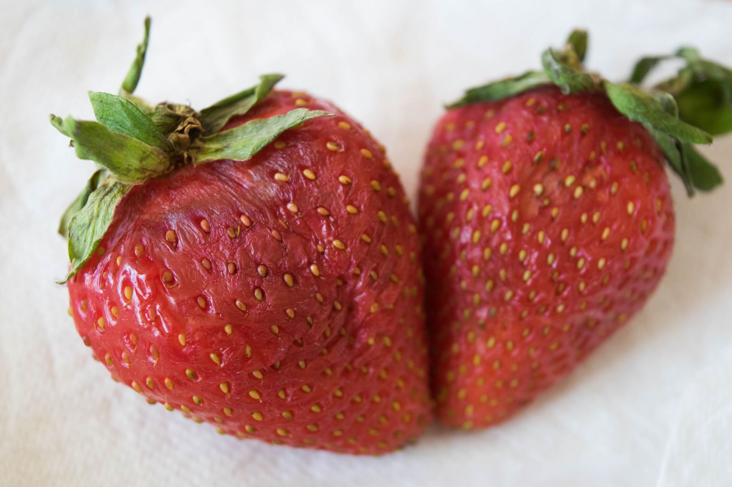 Tested: The Best Way to Keep Strawberries Fresh