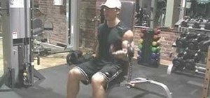 Do seated dumbbell alternating bicep curls