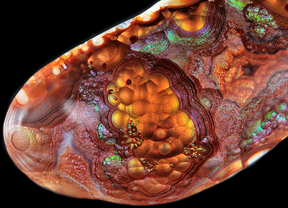 Everything Is Beautiful Under the Microscope