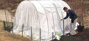 Build a high tunnel to protect your plants