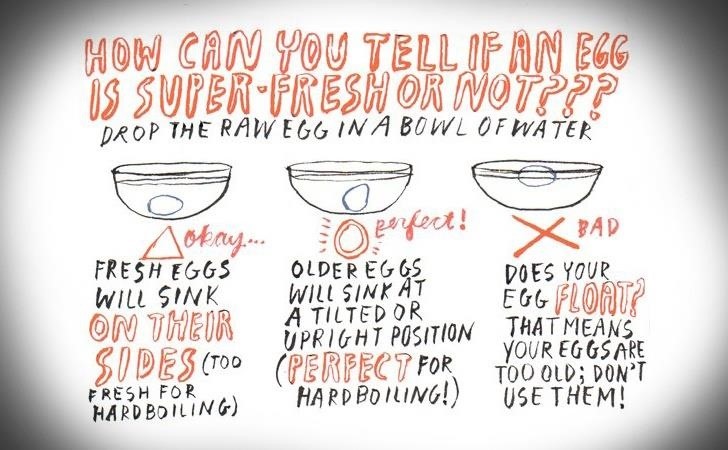 Floating freshness by test eggs for Floating eggs: