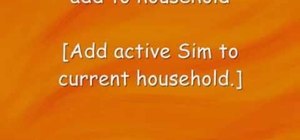 Get all of the possible cheats for Sims 3 on the PC