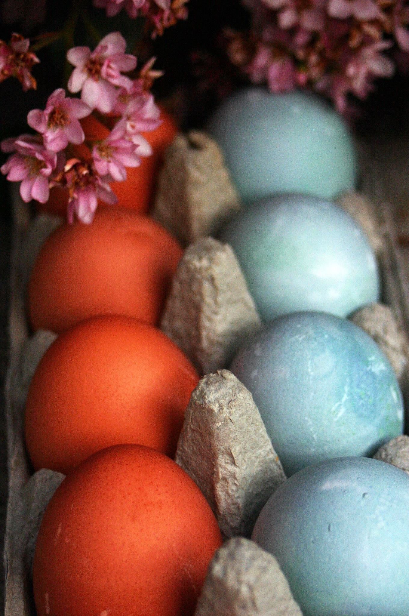 How to Color Easter Eggs with Veggies & Herbs Instead of Store-Bought Dyes