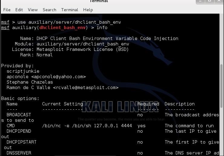 Hack Like a Pro: How to Hack the Shellshock Vulnerability