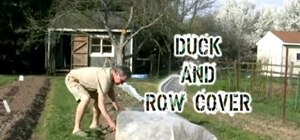 Use a row cover to protect your garden easily