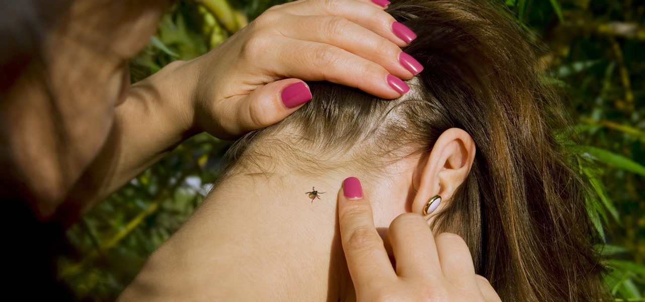 Finally! A Way Homeowners Can Control Ticks That Spread Lyme Disease