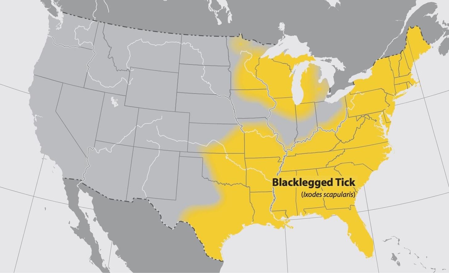 CDC Reports 2600% Increase in Tick-Borne Babesiosis Infections in Wisconsin in 12 Years