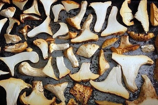 Ingredients 101: You're Not Using Enough Dried Mushrooms & Here's Why