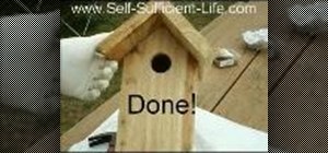 Build a bird house