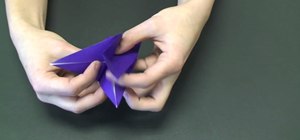 Fold an colorful origami bird