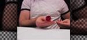 Craft a duct tape rose