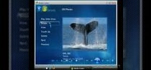 Manage digital pictures with the Windows Vista Media Center