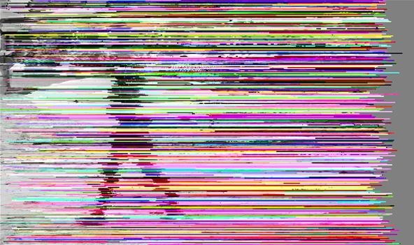 Flickr Images Corrupted by GlitchBot
