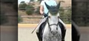 Improve your classical seat in horseback riding