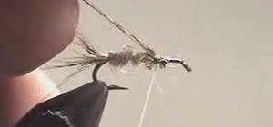 Tie a Hare's Ear Nymph fly