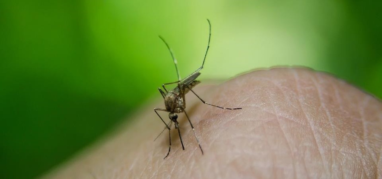 First Case of West Nile in Kansas Causes Statewide Concern