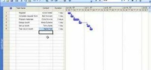 Add, hide, and show columns in Project 2007