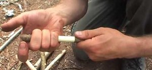 Make a survival whistle out of a willow twig