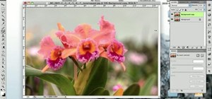 Create a depth of field effect in Adobe Photoshop