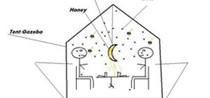 HoneyMoon, Birds and the Bees