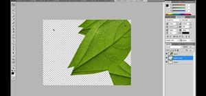 Manipulate a texture into a pro image in Photoshop