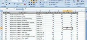 Insert & delete rows, columns, and works in Excel 2007