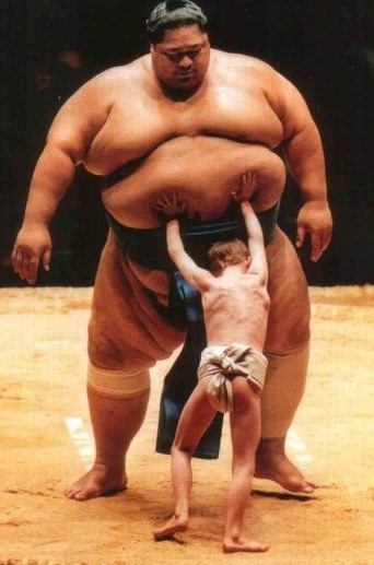 sumo wrestler showdown