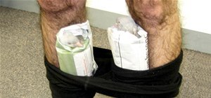 De-Pantsed! Nasty Contraband Seized By Airport Security (Yes, Those Are Pigeons)