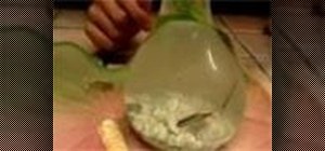 Make a self sustained fish tank from a condom
