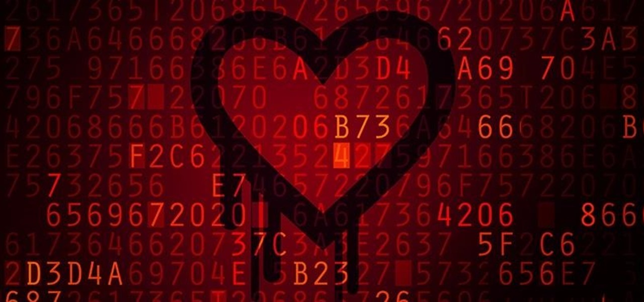 Hacking the Heartbleed Vulnerability