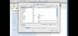 Use text fields in FileMaker Pro 10