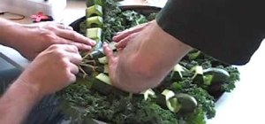 Make an edible robot