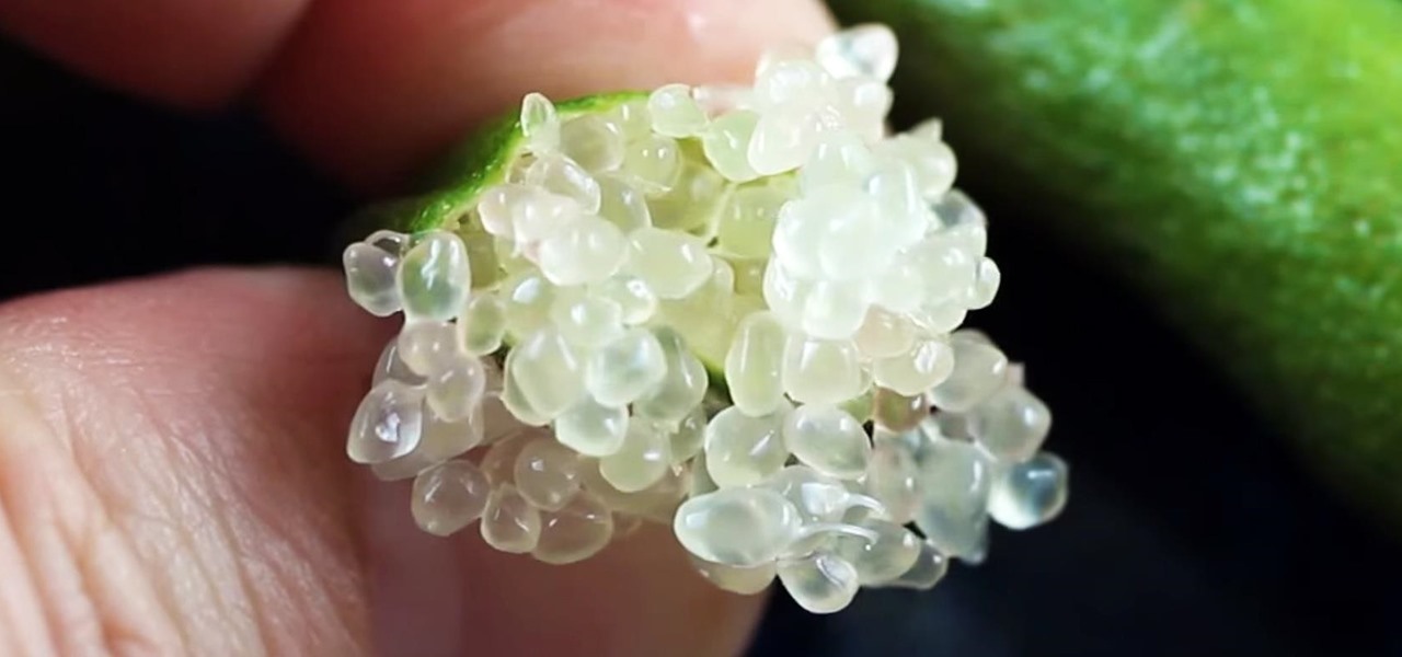 Finger Limes, the Caviar of Citrus