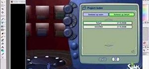 Make your sims naked in The Sims 2 for PC