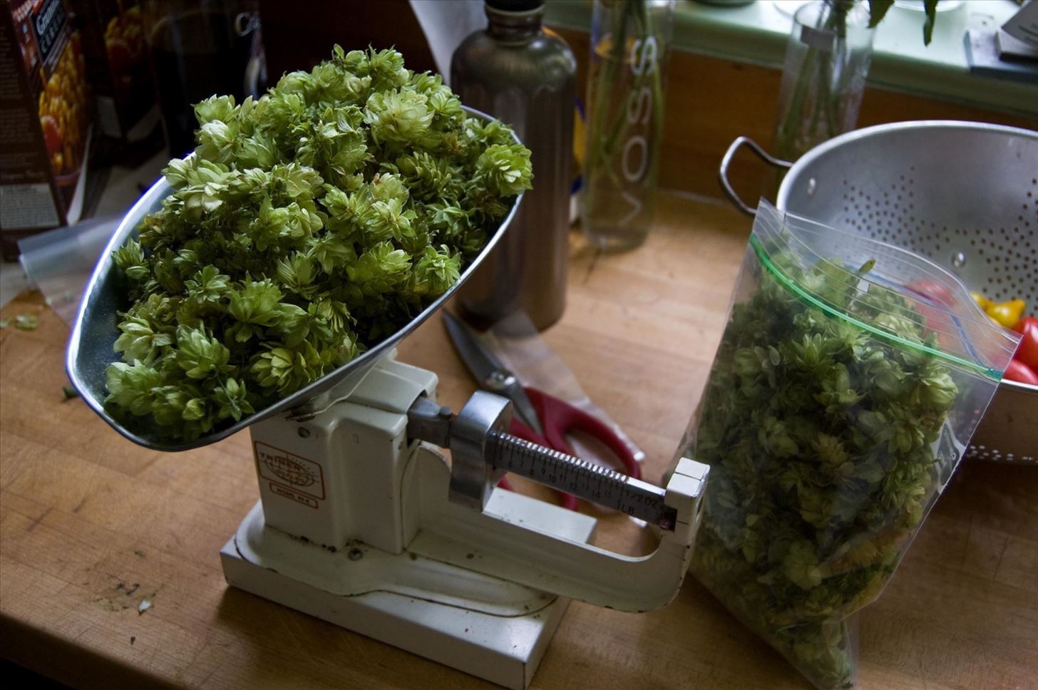 Weird Ingredient Wednesday: Hops—They're Not Just for Beer Anymore