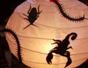 Make a Halloween lamp full of creepy crawly bugs