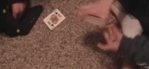 Perform the Soulmates magic card trick