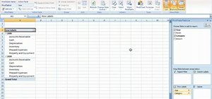 Summarize budget data via PivotTable in MS Excel 2010