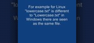 Make filenames case sensitive in Windows and Linux