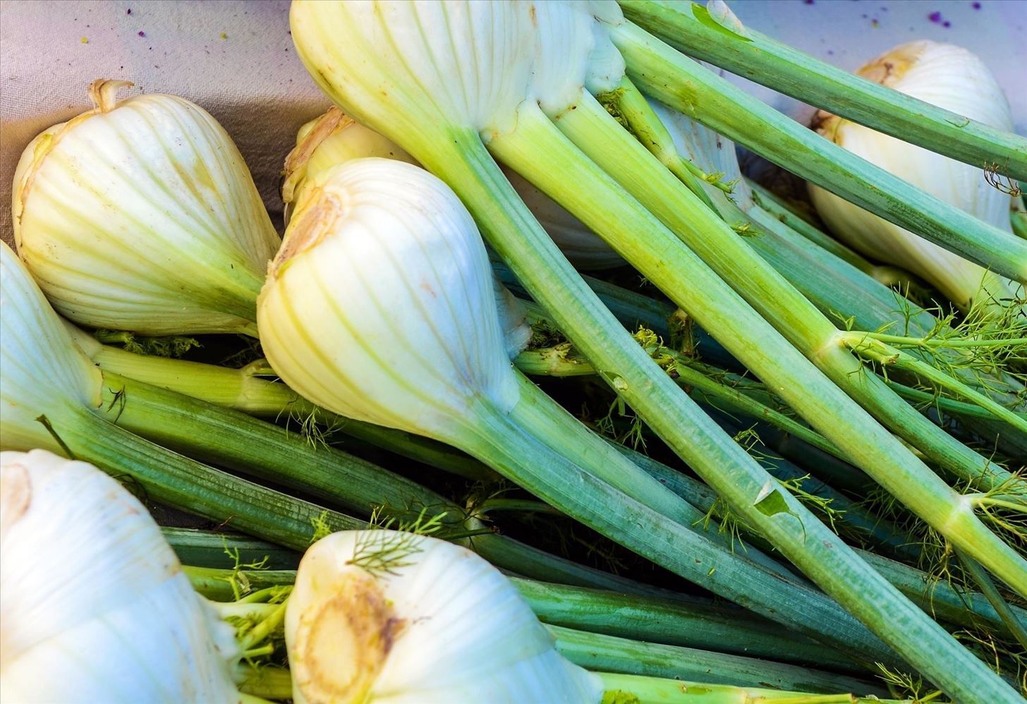 How to Cook for Garlic & Onion Haters: Alternatives & Substitutes