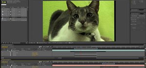 Make a talking animals effect using After Effects