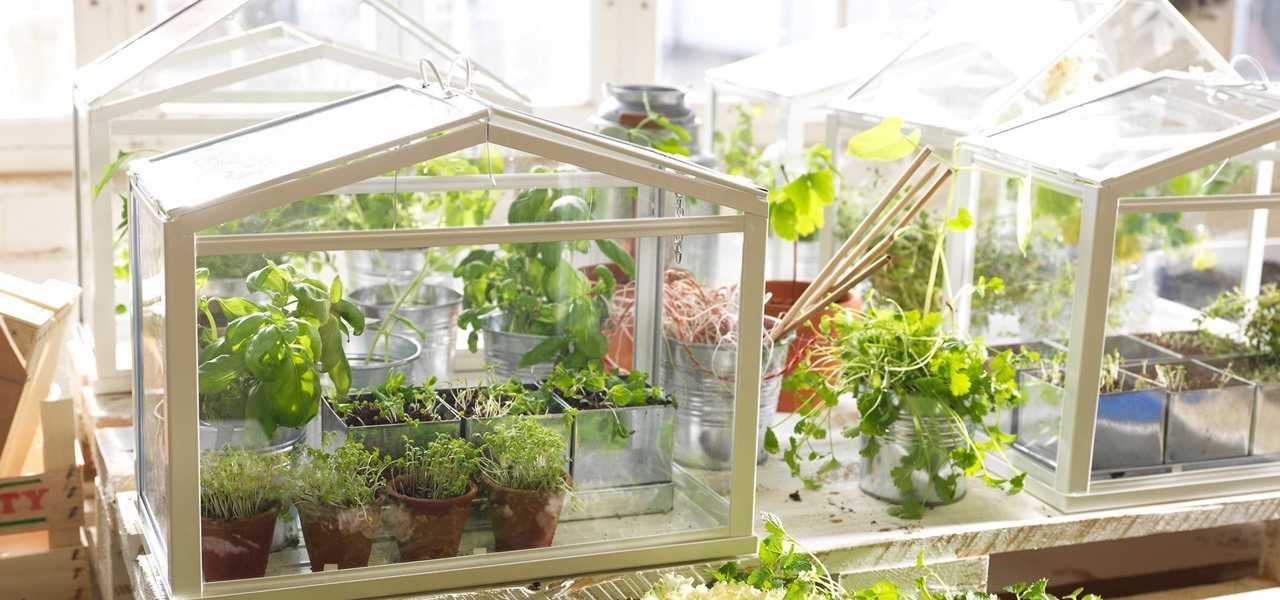 Grow Fresh Herbs Veggies Indoors With, Herb Garden Tabletop