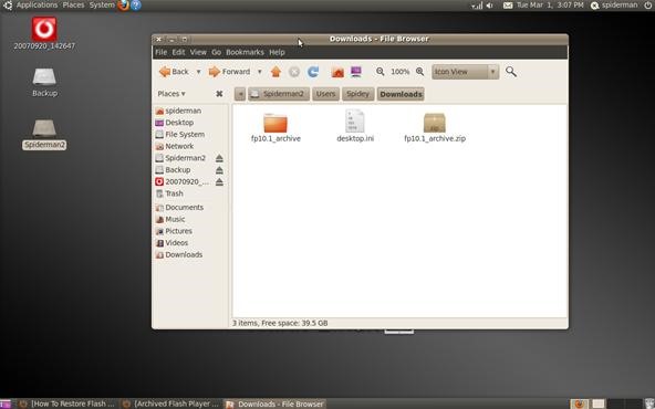 How to Restore Missing Flash Files in the Tmp Folder on Ubuntu Lucid