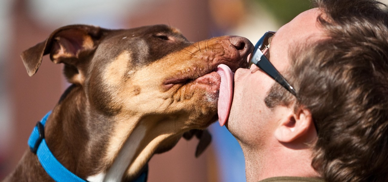 We Know You Want To, but You Really Shouldn't Be Kissing Your Pet on the Mouth