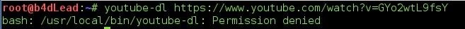 How to Download Videos with Terminal