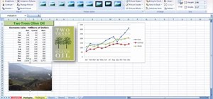 Apply picture styles in a MS Excel 2007 workbook